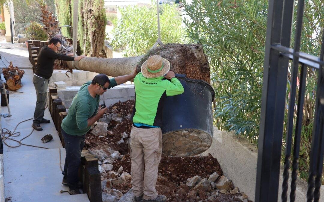 Cultivating Paradise: Your Guide to Landscaping in the Marina Alta